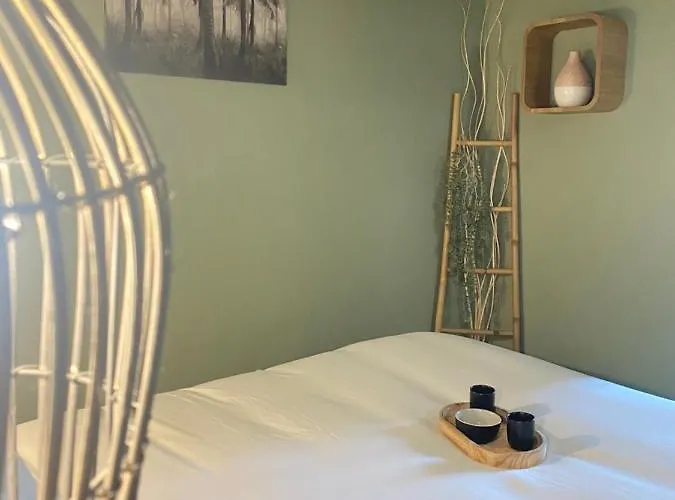 So Cosy 布格奈斯